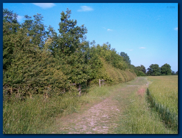 600x449 pixels (175K)